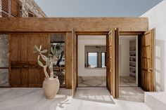 a large potted plant sitting on top of a white floor next to wooden doors