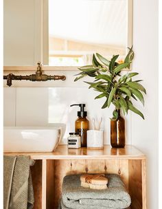 a bathroom with a sink, mirror and plants in vases on the counter top