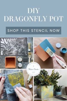 the instructions for how to make dragonfly pot with stencils and paint on it