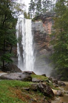 a large waterfall in the middle of a forest