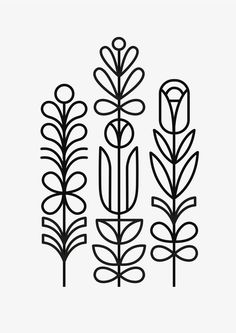 three black and white plants on a white background