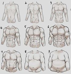 how to draw a man's torso and chest