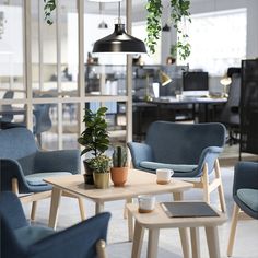 an office with blue chairs and plants on the tables