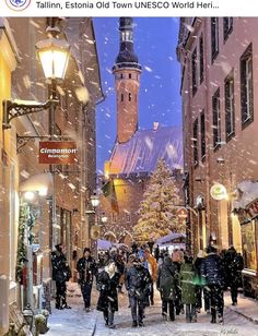 people walking down a snowy street in front of tall buildings with a christmas tree on it