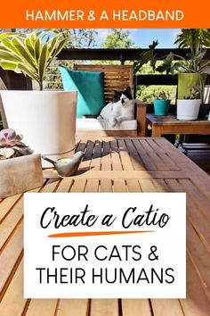 a cat sitting on top of a wooden table next to a potted plant with the words create a patio for cats and their humans