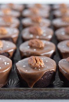 chocolate cupcakes with nuts on top in a baking tray, ready to be eaten