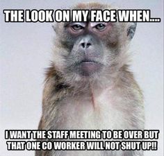 a monkey with the caption'the look on my face when i want to start meeting