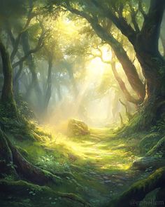 an image of a forest scene with sunlight coming through the trees