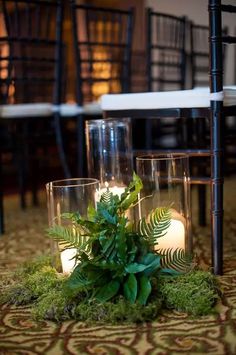 candles are lit in front of some plants on the ground at a wedding reception with chairs and tables behind them