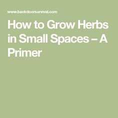 the words how to grow herbs in small spaces - a primer on a green background