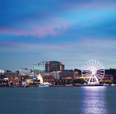 a large ferris wheel sitting in the middle of a body of water next to a city