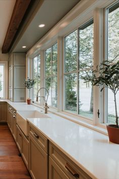 a kitchen filled with lots of counter top space next to a window covered in potted plants