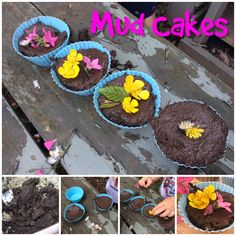 there are four pictures of different cakes with flowers in the middle and one is made out of dirt