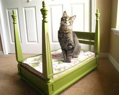 a cat sitting on top of a green bed