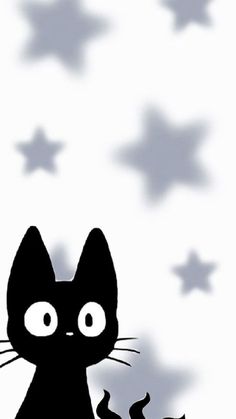 a black cat sitting on top of a floor next to a star filled wallpaper