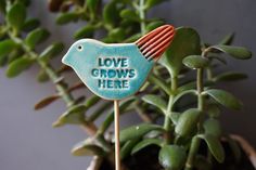 a small blue bird on top of a wooden stick with the words love grows here