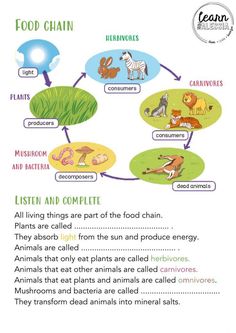 an animal life cycle is shown with animals and other things in the diagram above it