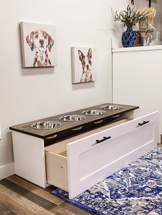 a dog food station in the corner of a room with blue rug and pictures on the wall