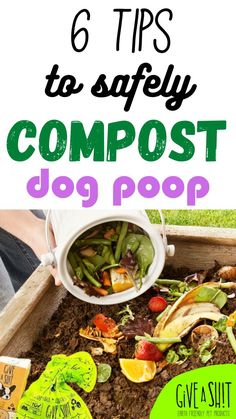 Lean how to prepare dog poop compost at home. The best compost for your plants can be elaborate at home from vegetables scraps and dog waste. Best tips for a dog owner! How To Compost, Dogs Pooping, Homemade Dog, Dog Owner, Safety Tips, Earth Friendly, A Dog