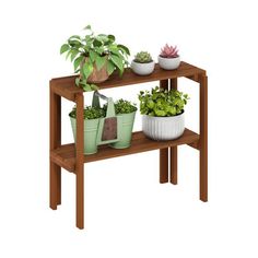 three potted plants sit on a wooden shelf with two pots and one planter