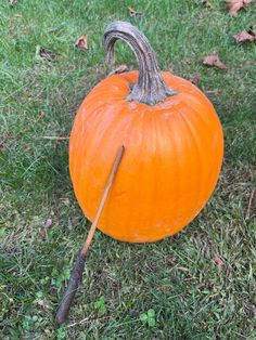 an orange pumpkin sitting in the grass with a stick sticking out of it's side