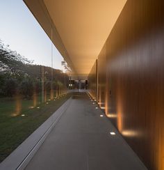 an empty walkway between two buildings with lights shining on the wall and grass in the foreground