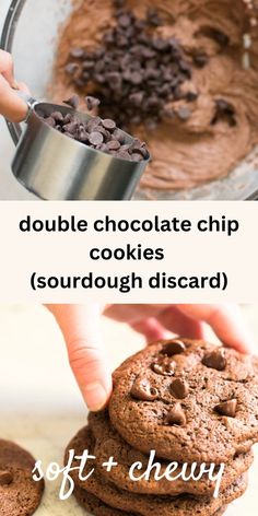 dark chocolate chip sourdough discard cookies on  a plate Chocolate Sourdough Discard, Cookies With Cocoa Powder, Sourdough Discard Cookies, Chocolate Sourdough, The Best Cookies, Best Cookies, Easy Christmas Treats, Double Chocolate Chip Cookies