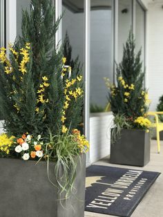 two planters with yellow and white flowers in them