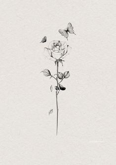 black and white drawing of a rose with two butterflies on it's back side