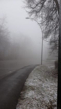 a foggy road with trees and street lights in the distance on a winter day