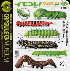 an illustrated book with pictures of caterpillars and other insects in japanese writing