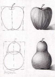 an apple, pear and circle drawn in graphite on paper with the same drawing technique