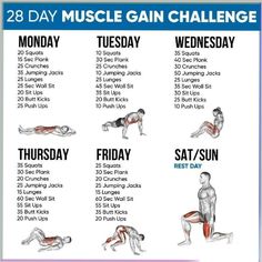 the 28 day muscle gain challenge is shown in this image, and shows how to do it