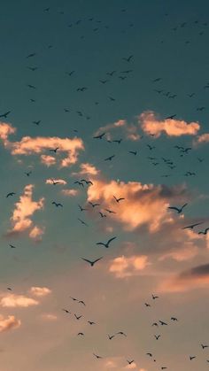 a flock of birds flying in the sky at sunset or dawn with clouds above them