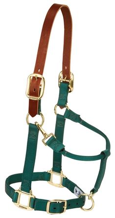 a green bridle with gold hardware on the side and brown leather straps around it