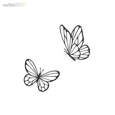 two butterflies flying side by side on a white background, one is black and the other is