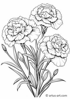 three flowers are shown in this black and white drawing, which is also available as a coloring page for adults