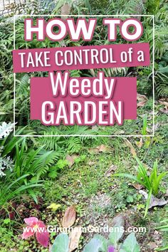 a garden with flowers and plants in the background text reads how to take control of a weedy garden