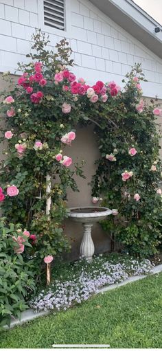 pink roses are growing on the side of a house with a bird bath in the foreground