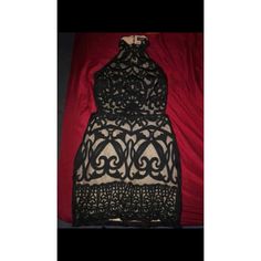 Sure Cute Lace Dress Cute Lace Dresses, Nude Lace Dress, Fashion Nova Dresses, Fashion Nova Dress, Dresses Black, Black Tan, Black And Tan, Fashion Nova, Lace Dress