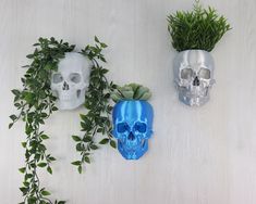 three skulls with plants in their heads on a white surface next to eachother