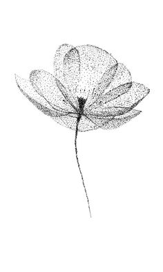 a black and white photo of a flower with dots on it's petals in the shape of a dragonfly