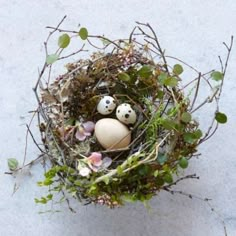 three eggs in a bird's nest on the ground