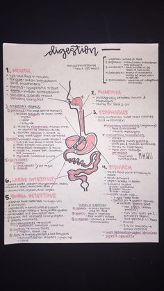 a diagram of the human body and its major organs on a piece of white paper