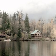 a house sitting on top of a lake surrounded by trees