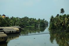 a body of water surrounded by lush green trees and palm tree's in the background