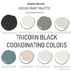 the different shades of paint that are used in this house painting project, including black and white