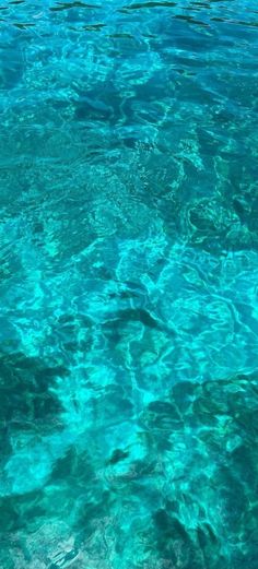 the water is very clear and blue with little ripples on it's surface