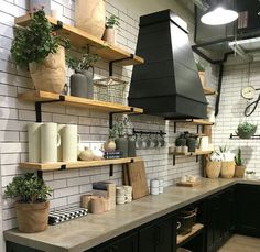 a kitchen with black cabinets and shelves filled with potted plants