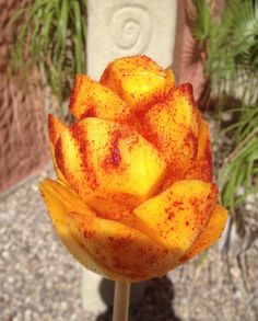 a close up of a yellow flower on a stick in front of a planter